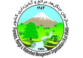 نیاز 3 هزار میلیارد تومان اعتبار برای حفاظت و احیای منابع طبیعی