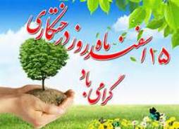 کاشت 2500 اصله نهال مثمر و غیر مثمر در آستانه روز درخت کاری