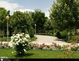 درختکاری و توسعه فضای سبز باید به یک انقلاب همگانی تبدیل شود
