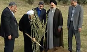 همزمان با هفته منابع طبیعی رئیس جمهور یک نهال زیتون کاشت + فیلم