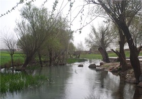 «فش» کجاست؟