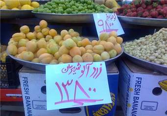 افزایش 70 درصدی محصولات صیفی و سبزی در مهران