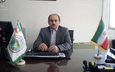 حفاظت فنی از جنگل ها دغدغه اصلی ما است