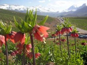 تصویب پنج طرح گردشگری در استان چهارمحال و بختیاری