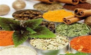 جشنواره ملی طب سنتی و گیاهان دارویی برگزار می‌شود
