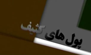 سناتورهایی که از صهیونیست‌ها پول می‌گیرند تا علیه ایران صحبت کنند + فیلم