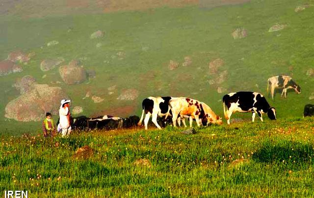 مدیریت بیش از یک میلیون و 180 هزار عرصه جنگلی و مرتعی مازندران