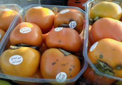 میوه های اسرائیلی در خاک عربستان!+تصویر