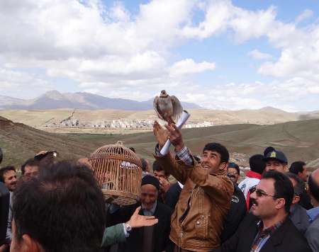 موج ندامت شکارچیان به کامیاران رسید