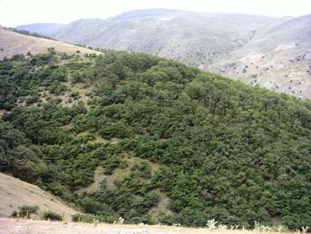شناسایی 70 هزار هکتار از عرصه های ملی مستعد سرمایه گذاری در استان