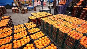 آغاز توزیع میوه شب عید در 35 نقطه شهراردبیل