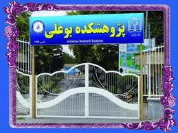 محققان ایرانی موفق به تولید طعم دهنده گیاهی مقاوم به دما شدند