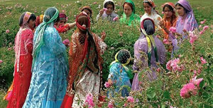 فیروزآباد جلوه هنری لباسهای رنگین عشایری در استان فارس
