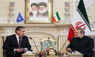 ایران و تاجیکستان از ظرفیت‌های فراوانی برای همکاری و تعامل برخوردارند