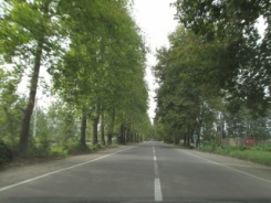 پاک سازی مبادی ورودی شهرهای گیلان به مناسبت آغاز بهار