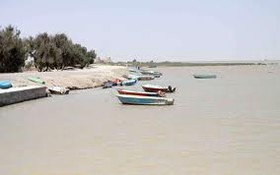 برای حل مشکل تالاب هامون باید رویکرد اکوسیستمی در منطقه نهادینه شود
