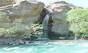 امروز کجابريم؟