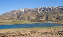 نیاز به تخصیص اعتبار برای احیای پوشش گیاهی تالاب‌های استان