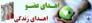اهداي اعضاي بدن طلبه خراسان شمالي به دو بيمارزندگي دوباره بخشيد