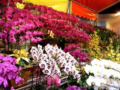 رشد 37 درصدی صادرات گل و گیاه مازندران