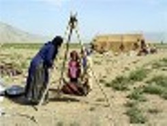 تولید سالانه 36 هزار و 600 تن محصولات دامی توسط عشایر آذربایجان شرقی