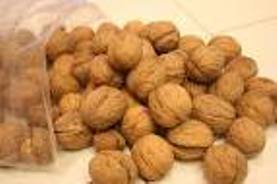 رشد مطلوب تولید گردو در آذربایجان شرقی،طی20 سال گذشته