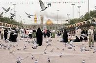 رتبه نخست ساری در کمک به عتبات عالیات