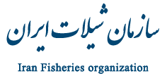 پرداخت 683 میلیارد تومان تسهیلات به سرمایه‌داران بخش خصوصی
