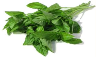 اعصابی آرام با ریحان