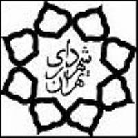 تهرانی ها ترافیک را خاکستری رنگ می بینند / عصر امروز «خانه هنرمندان ایران» میزبان «شهروندان هنرمند تهران است