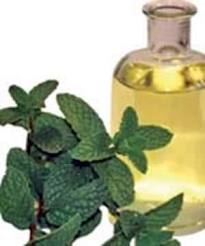 خواص دارویی روغن نعناع