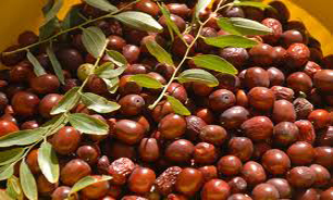 عناب را در رژیم غذایی خود قرار دهید