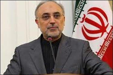 امیدواریم رایزنیهای خوبی با کشورهای آمریکای لاتین برای موضوع سوریه داشته باشیم