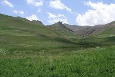 بیش از 95 درصد عرصه های ملی گچساران سند ثبتی دارد