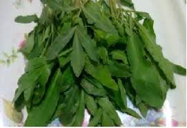 غازیاغی گیاهي خودرو  و تصفيه كننده كليه و مثانه