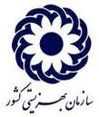اجرای طرح تغییر رویکرد مراقبت از معلولان سازمان بهزیستی کشور