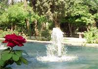 تماشاي طبس از زاويه متفاوت با شبكه شما