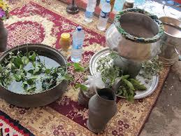 میزبانی مازندرانی ها از بهار نارنج