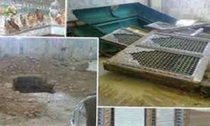 تخریب کنندگان قبر صحابه پیامبر بویی از مسلمانی نبرده اند