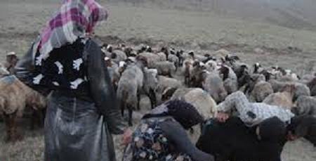 کوچ بهاره عشایر گچساران به مناطق ییلاقی پایان یافت