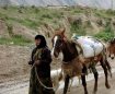تخریب 75 درصدی جاده های عشایری در پی بارش های اخیر ایلام