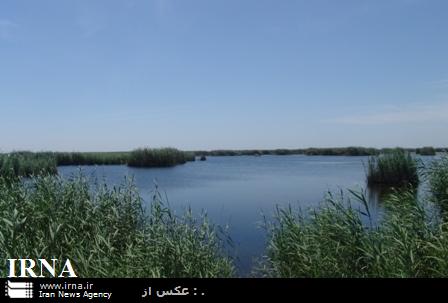 رها سازي هفتادوچهارميليون مترمکعب آب به تالابهاي استان آذربایجانغربی