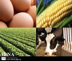 صادرات 946 تن خوراک دام وطیور از خراسان جنوبی