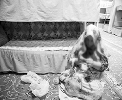 متهمی که مادرش را مقصر بدبختی هایش می داند!