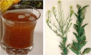 خاک شیر خنک کننده ترین نوشیدنی فصل گرما