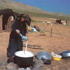 مشکلات عشایر مرزنشین