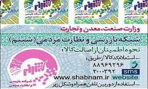 رتبه دوم کشوری استان آذربایجان غربی در اجرای طرح شبنم