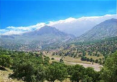 6000هکتار عرصه ملی گچساران استعداد واگذاری به طرح های کشاورزی رادارد