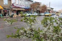میزان بارندگی ها در خلخال 90 درصد كاهش یافت