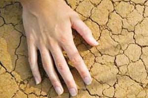 مجلس تمام قد در برابر صادرات خاک ایران خواهد ایستاد
